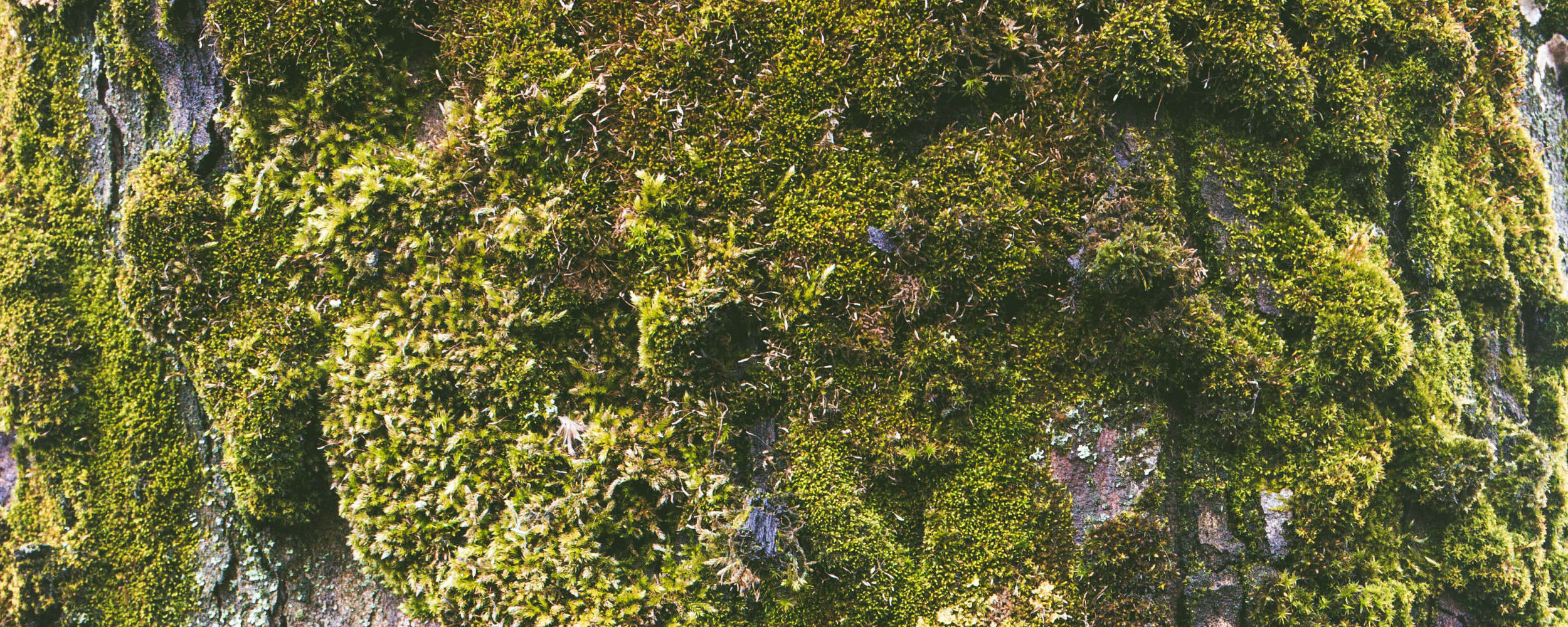 March – “Touch”